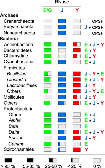 figure1